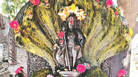 ಕಂಪ್ಲಿ ಕಲ್ಯಾಣಚೌಕಿಮಠ ಆವರಣದಲ್ಲಿ ಸ್ಕಂದ ಷಷ್ಠಿ ಆಚರಣೆ ನಿಮಿತ್ತ ನಾಗದೇವತೆ, ಸುಬ್ರಹ್ಮಣ್ಯಸ್ವಾಮಿ ಮೂರ್ತಿಗೆ ವಿಶೇಷ ಪೂಜೆ ಸಲ್ಲಿಸಲಾಯಿತು.