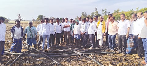 ಕಲಘಟಗಿ ತಾಲೂಕಿನ ಸೊಲ್ಲಾರಗೊಪ್ಪ ಗ್ರಾಮದ ರೈತ ಪ್ರವೀಣ ಜಾಬಿನ್‌ಹೊಲಕ್ಕೆ ಮಾಜಿ ವಿಧಾನ ಪರಿಷತ್ ಸದಸ್ಯ ನಾಗರಾಜ ಛಬ್ಬಿ ಭೇಟಿ ನೀಡಿ ಹಾನಿ ಪರಿಶೀಲಿಸಿದರು. ಯಲ್ಲಾರಿ ಶಿಂಧೆ, ಅಣ್ಣಪ್ಪ ಓಲೇಕಾರ, ಕಿರಣ ಪಾಟೀಲ ಕುಲಕರ್ಣಿ, ರವಿ ಅಲ್ಲಾಪುರ, ಸುರೇಶ ಶೀಲವಂತರ ಇತರರಿದ್ದರು.