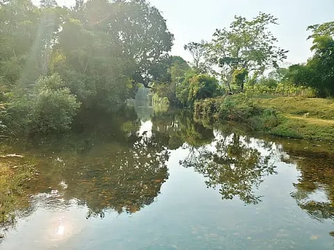 ಮೂಡಿಗೆರೆ ತಾಲೂಕಿನ ಕಿರುಗುಂದ ಗ್ರಾಮದಲ್ಲಿ ಹರಿಯುವ ಜಪಾವತಿ ನದಿಗೆ ಕೆಲ ತೋಟದ ಮಾಲೀಕರು ಕಾಫಿ ಸಂಸ್ಕರಿಸಿದ ಪಲ್ಪರ್ ನೀರು ಹರಿಯಲು ಬಿಟ್ಟು ನದಿಯನ್ನು ಮಲಿನಗೊಳಿಸಿರುವುದು.