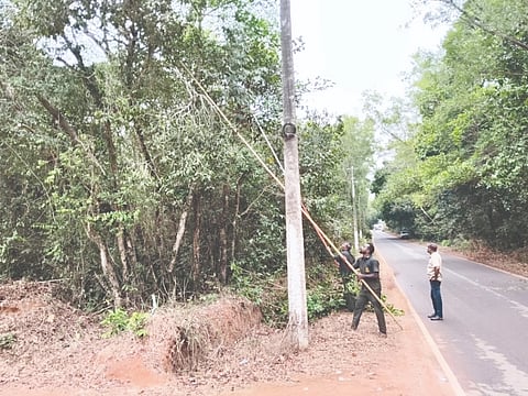  ವಿದ್ಯುತ್ ಕಂಬಕ್ಕೆ ತಾಗುವ ಮರದ ಕೊಂಬೆಗಳನ್ನು ಕಟಾವು ಮಾಡುತ್ತಿರುವುದು.  