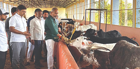 ಹುಕ್ಕೇರಿ ತಾಲೂಕಿನ ಬೆಳವಿ ಸರ್ಕಾರಿ ಗೋಶಾಲೆಗೆ ರಮೇಶ ಕತ್ತಿ ಭೇಟಿ ನೀಡಿ ಪರಿಶೀಲಿಸಿದರು. ರಾಯಪ್ಪ ಡೂಗ, ಸುನೀಲ ಪರ್ವತರಾವ, ರೋಹನ್ ನೇಸರಿ, ಡಾ.ರಾಜು ಮೇತ್ರಿ ಇತರರಿದ್ದರು.