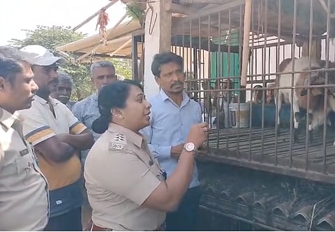 ಚಿರತೆ ದಾಳಿಯೂ