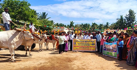 ಮೂಗೂರಿನ ಕೆ ಪಿಎಸ್ ಸರ್ಕಾರಿ ಹಿರಿಯ ಪ್ರಾಥಮಿಕ ಶಾಲೆಗೆ ಸೋಮವಾರ ಎತ್ತಿನಗಾಡಿಯಲ್ಲಿ ಬಂದ ವಿದ್ಯಾರ್ಥಿಗಳನ್ನು ಸ್ವಾಗತಿಸಲಾಯಿತು. ತಹಸೀಲ್ದಾರ್ ಸುರೇಶಾಚಾರ್ಯ, ಬಿಆರ್‌ಸಿ ನಾಗೇಶ, ಉಪಪ್ರಾಂಶುಪಾಲ ಪುಟ್ಟಸ್ವಾಮಿ, ಮುಖ್ಯ ಶಿಕ್ಷಕ ಕೃಷ್ಣೇಗೌಡ, ರೇಖಾ, ಚಂದ್ರಿಕಾ, ಶ್ವೇತಾ, ತುಳಸಿ ಇತರರು ಇದ್ದರು. 