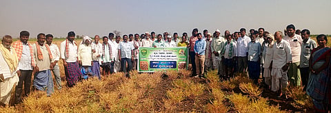 ರೋಣದ ಕೃಷಿ ಇಲಾಖೆ ಹಾಗೂ ಹೊಳೆಆಲೂರ ರೈತ ಸಂಪರ್ಕ ಕೇಂದ್ರದ ಆಶ್ರಯದಲ್ಲಿ ಅಸೂಟಿ ಗ್ರಾಮದಲ್ಲಿ ಕಡಲೆ ಬೆಳೆ ಕ್ಷೇತ್ರೋತ್ಸವ ಹಮ್ಮಿಕೊಳ್ಳಲಾಗಿತ್ತು.