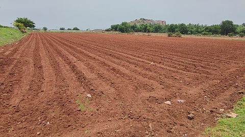 ಬಳ್ಳಾರಿಯ ಸಿರವಾರದಲ್ಲಿ ಬಿತ್ತನೆಗೆ ಸಿದ್ದಗೊಳಿಸಿರುವ ಮಸಾರಿ ಭೂಮಿ.