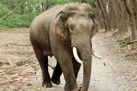 ಸಾಂದರ್ಭಿಕ ಚಿತ್ರ