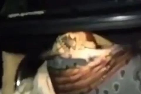 ಸಾಂದರ್ಭಿಕ ಚಿತ್ರ