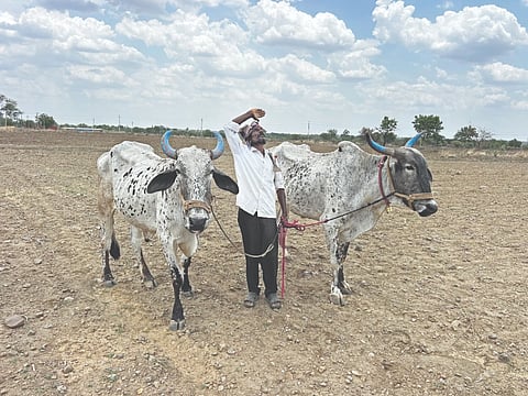 ಮುಂಗಾರು ಮಳೆಯ ದರ್ಶನವಿಲ್ಲದೆ ಕಂಗಾಲಾದ ಭಾಲ್ಕಿ ತಾಲೂಕಿನ ಜಾಡವಾಡಿ ಗ್ರಾಮದ ರೈತ ಸಿದ್ದಪ್ಪ ಜೋಡೆತ್ತುಗಳೊಂದಿಗೆ ಆಕಾಶದತ್ತ ಮುಖ ಮಾಡಿರುವುದು.