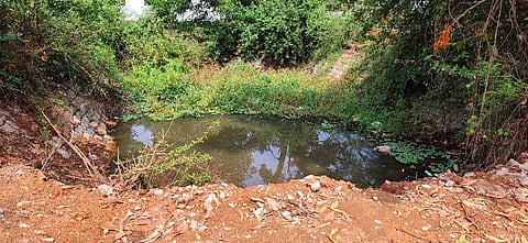  ಅಳಿವಿನಂಚಿನಲ್ಲಿರುವ ಗಂಗೊಳ್ಳಿಯ ಮಡಿವಾಳ ಕೆರೆ.