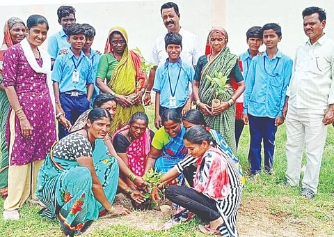 ಮಾನ್ವಿ ತಾಲೂಕಿನ ಚೀಕಲಪರ್ವಿ ಸರ್ಕಾರಿ ಹಿರಿಯ ಪ್ರಾಥಮಿಕ ಶಾಲೆಯ ಆವರಣದಲ್ಲಿ ಲೋಯೋಲ ಸಮಾಜ ಸೇವಾ ಕೇಂದ್ರದ ಸಹಯೋಗದಲ್ಲಿ ಸ್ವಸಹಾಯ ಸಂಘದ ಅಧ್ಯಕ್ಷೆ ಜಾನಮ್ಮ ಸಸಿ ನೆಟ್ಟರು. 