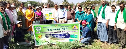 ಮುಳಗುಂದ ಸಮೀಪದ ಹೊಲದಲ್ಲಿ ಕಡಲೆ ಬೆಳೆಯ ಕ್ಷೇತ್ರೋತ್ಸವದಲ್ಲಿ ಸಿ. ಸಿಖಾ, ಚೇತನಾ ಪಾಟೀಲ, ಮಲ್ಲಯ್ಯ ಕೊರಣ್ಣವರ ಇತರರು ಪಾಲ್ಗೊಂಡಿದ್ದರು.   