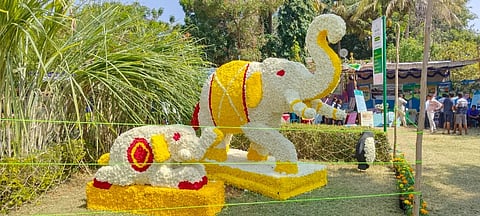 ಚಾಮರಾಜನಗರದ ಜಿಲ್ಲಾಡಳಿತ ಭವನದಲ್ಲಿ ಈ ಹಿಂದೆ ಆಯೋಜಿಸಿದ್ದ ಲಪುಷ್ಪ ಪ್ರದರ್ಶನದಲ್ಲಿ ಮೂಡಿಬಂದಿದ್ದ ಕಲಾಕೃತಿಗಳು. 