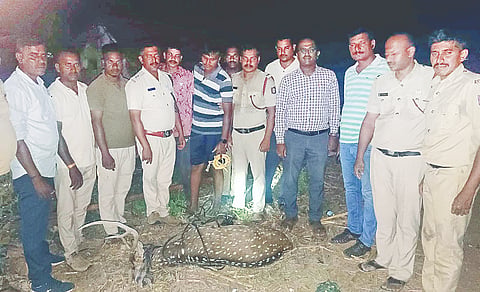 ಹನೂರಿನ ಹೊರವಲಯದಲ್ಲಿ ಬಾವಿಗೆ ಬಿದ್ದಿದ್ದ ಜಿಂಕೆಯನ್ನು ಅಗ್ನಿಶಾಮಕ ಸಿಬ್ಬಂದಿ ಮೇಲೆತ್ತಿ ರಕ್ಷಿಸಿದರು. ಮಹೇಶ್, ಆನಂದ್, ಅಶೋಕ್, ಲಿಂಗೇಶ್, ಮನೋಹರ್, ಅನಿಲ್ ಇತರರಿದ್ದರು.