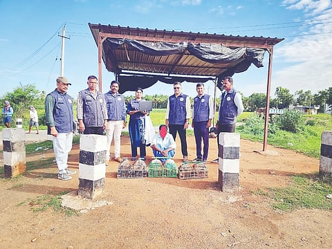 ತಾಲೂಕಿನ ದಾಸನಪುರ ಗ್ರಾಮದ ಹೊರ ವಲಯದಲ್ಲಿ ಅಕ್ರಮವಾಗಿ ಗೌಜಲ ಹಕ್ಕಿಗಳ ಮಾರಾಟಕ್ಕೆ ಯತ್ನಿಸ್ತುತಿದ್ದ ಆರೋಪಿಯನ್ನು ಕೊಳ್ಳೇಗಾಲ ಸಿಐಡಿ ಅರಣ್ಯ ಸಂಚಾರಿ ದಳದ ಪೊಲೀಸರು ಗುರುವಾರ ವಶಕ್ಕೆ ಪಡೆದಿದ್ದಾರೆ. 