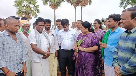 ಹಗರಿಬೊಮ್ಮನಹಳ್ಳಿ ತಾಲೂಕಿನ ರಾರಾಳ್ ತಾಂಡಾದ ಬಳಿ ಜಿಲ್ಲಾಧಿಕಾರಿ ಕವಿತಾ ಎಸ್.ಮನ್ನಿಕೇರಿ ಹಾಗೂ ಸಿಇಒ ನೊಂಗ್ಜಾಯ್ ಮಹ್ಮದ್ ಅಲಿ ಅಕ್ರಮ್ ಷಾ ಬರ ಅಧ್ಯಯನ ನಡೆಸಿದ ವೇಳೆ ರೈತರೊಂದಿಗೆ ಚರ್ಚಿಸಿದರು. ಕೃಷಿ ಜೆಡಿ ಮಂಜುನಾಥ, ಡಿಡಿ ವಾಮದೇವು ಕೊಳ್ಳಿ, ಹಗರಿಬೊಮ್ಮನಹಳ್ಳಿ ತಹಸೀಲ್ದಾರ್ ಕವಿತಾ ಇತರರಿದ್ದರು.