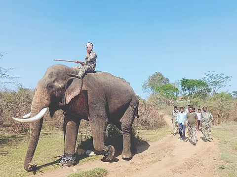 ಗುಂಡ್ಲುಪೇಟೆ ತಾಲೂಕಿನ ಹೊಂಗಹಳ್ಳಿ ವ್ಯಾಪ್ತಿಯಲ್ಲಿ ಹುಲಿ ಕಾಣಿಸಿಕೊಂಡ ಹಿನ್ನೆಯಲ್ಲಿ ಅರಣ್ಯ ಇಲಾಖೆ ಕೂಂಬಿಂಗ್ ನಡೆಯಿತು.