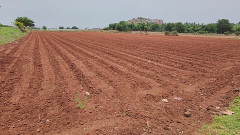 ಸಿರಗುಪ್ಪ ತಾಲೂಕಿನ ಬಲಕುಂದಿ ಗ್ರಾಮದಲ್ಲಿ ಬಿತ್ತನೆಗಾಗಿ ಸಿದ್ಧಗೊಳಿಸಿರುವುದು.