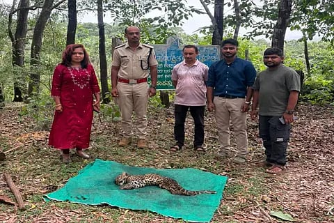 ಸಾವಿಗೀಡಾದ ಚಿರತೆ ಮರಿಯನ್ನು ತಹಸೀಲ್ದಾರ್ ಡಾ. ಆರ್.ಪ್ರತಿಭಾ, ಪಶುವೈದ್ಯ ಆಕಾಶ್ ಮತ್ತಿತರರು ಪರಿಶೀಲಿಸಿದರು.