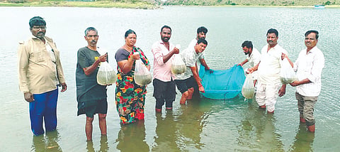 ತಿರುಮಲಪುರ ಗ್ರಾಮದ ಡಾ.ಬಿ.ಆರ್.ಅಂಬೇಡ್ಕರ್ ಪರಿಶಿಷ್ಟ ಜಾತಿ ಮತ್ತು ವರ್ಗಗಳ ಮೀನುಗಾರರ ಸಹಕಾರ ಸಂಘದಿಂದ ತೊಣ್ಣೂರು ಕೆರೆಗೆ ಸುಮಾರು ಐದು ಲಕ್ಷ ಕಾಟ್ಲಾ ಮೀನು ಮರಿಗಳನ್ನು ಸೋಮವಾರ ಬಿಡಲಾಯಿತು. 