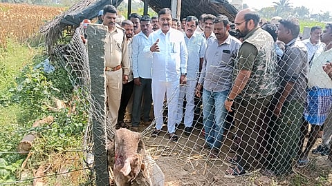 ಯಳಂದೂರು ತಾಲೂಕಿನ ಗಂಗವಾಡಿ ಗ್ರಾಮದಲ್ಲಿ ಚಿರತೆ ದಾಳಿಯಿಂದ ಮೃತಪಟ್ಟ ಹಸು-ಕರುಗಳನ್ನು ಭಾನುವಾರ ಶಾಸಕ ಎ.ಆರ್.ಕೃಷ್ಣಮೂರ್ತಿ ಭೇಟಿ ನೀಡಿ ಮಾಲೀಕ ರಾಮಯ್ಯ ಅವರಿಗೆ ಸಾಂತ್ವನ ಹೇಳಿದರು. 