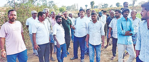 ಪಿ.ಜಿ ಪಾಳ್ಯ ದೊಡ್ಡಕೆರೆಗೆ ಶಾಸಕ ಎಂ.ಆರ್ ಮಂಜುನಾಥ್ ಭೇಟಿ ನೀಡಿ ಪರಿಶೀಲಿಸಿದರು. ಮಹದೇವಸ್ವಾಮಿ, ಜಡೇರುದ್ರಸ್ವಾಮಿ, ಕೃಷ್ಣಮೂರ್ತಿ, ಸಿದ್ದರಾಜು ಇತರರಿದ್ದರು.