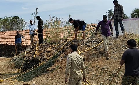  ವೈಶ್ಯಂಪಾಳ್ಯದಲ್ಲಿ ಬಾವಿಯೊಂದಕ್ಕೆ ಬಿದ್ದಿದ್ದ ಕಾಡು ಹಂದಿಯನ್ನು ಅಗ್ನಿಶಾಮಕ ಸಿಬ್ಬಂದಿ ರಕ್ಷಿಸಿದರು.
