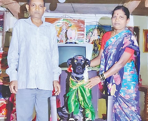ಹಳಿಯಾಳ ಪಟ್ಟಣದ ನಿವಾಸಿ ಪ್ರೇಮಾ ಮತ್ತು ಪ್ರಭು ಶಿಗ್ಲಿ ಅವರು ತಮ್ಮ ಮನೆ ಸಾಕು ನಾಯಿ ಸೋನಿ ಚೊಚ್ಚಲ ಗರ್ಭಿಣಿಯಾಗಿರುವುದಕ್ಕೆ ಸೀಮಂತ ಮಾಡಲಾಯಿತು.
