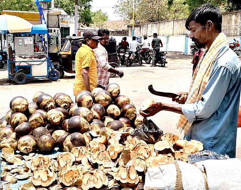 ಕಂಪ್ಲಿಯಲ್ಲಿ ತಾಳೆ ತೊಗಟೆ ತೆಗೆಯುತ್ತಿರುವ ಮಾರಾಟಗಾರ.