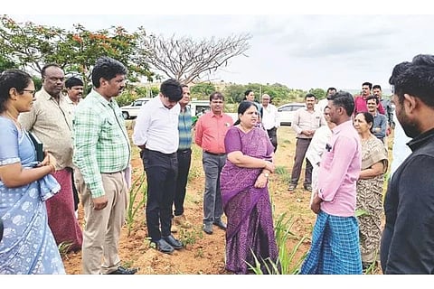 ಅಮ್ಮನಕೇರಿ ಗ್ರಾಮದ ಜಮೀನಿಗೆ ಭೇಟಿ ನೀಡಿದ ಡಿಸಿ ಕವಿತಾ ಎಸ್ ಮನ್ನಿಕೇರಿ ಮೆಕ್ಕೆ ಜೋಳದ ಬೆಳೆ ಪರಿಶೀಲಿಸಿದರು. ಜಿಪಂ ಸಿಇಒ ಮಹಮದ್ ಆಲಿ ಅಕ್ರಂಷಾ, ಕೃಷಿ ಸಹಾಯಕ ನಿರ್ದೇಶಕ ತೇಜವರ್ಧನ, ತಹಸೀಲ್ದಾರ್ ವಿ.ಕೆ. ನೇತ್ರಾವತಿ, ತಾಪಂ ಇಒ ನರಸಪ್ಪ, ಕೃಷಿ ಅಧಿಕಾರಿ ಸಾವಿತ್ರಿ ಇತರರಿದ್ದರು.