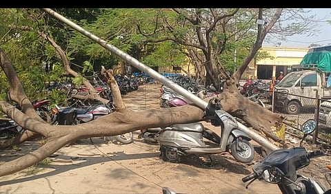 ಬಳ್ಳಾರಿಯ ಹೊಸ ಬಸ್ ನಿಲ್ದಾಣದ ಬೈಕ್ ಪಾರ್ಕಿಂಗ್ ಪ್ರದೇಶದಲ್ಲಿ ಬಿರುಗಾಳಿಗೆ ಮರ ಬೈಕ್‌ಗಳ ಮೇಲೆ ಉರುಳಿರುವುದು.
