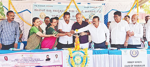 Dairy farming helps in becoming economically strong