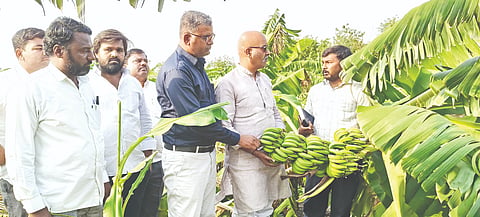 ಅಫಜಲಪುರ ತಾಲೂಕಿನ ಬಳೂರಗಿಯಲ್ಲಿ ಗಾಳಿ&ಮಳೆಗೆ ಹಾಳದ ಬಾಳೆ ತೋಟಗಳಿಗೆ ಕೆಕೆಆರ್​ಟಿಸಿ ಅಧ್ಯ ಅರುಣಕುಮಾರ ಪಾಟೀಲ್​ ಭೇಟಿ ನೀಡಿ ಪರಿಶೀಲಿಸಿದರು. ಸಂಜೀವಕುಮಾರ ದಾಸರ, ಸಿದ್ಧಾರ್ಥ ಬಸರಿಗಿಡ, ಸಿದ್ರಾಯ ಅಳ್ಳೊಳ್ಳಿ ಇತರರಿದ್ದರು.