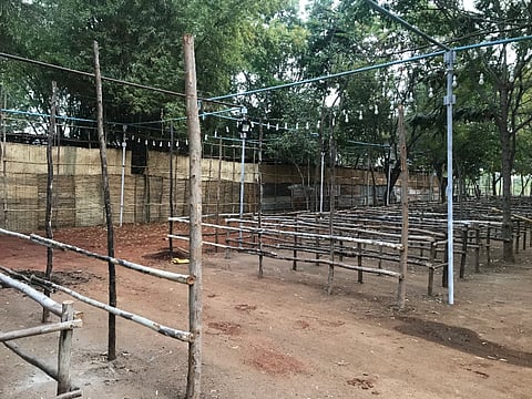 ಕೊಪ್ಪಳ ಗವಿಮಠ ಜಾತ್ರೆ ಅಂಗವಾಗಿ ದಾಸೋಹ ಭವನ ಸಿದ್ಧತೆ ನಡೆದಿರುವುದು. 