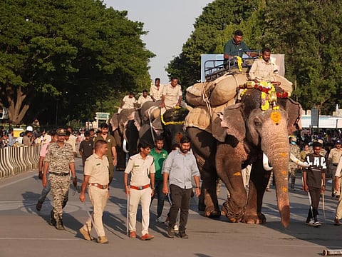 ದಸರಾ ಗಜಪಡೆ ಬುಧವಾರ ಯಶಸ್ವಿಯಾಗಿ ಭಾರ ಹೊರುವ ತಾಲೀಮು ನಡೆಸಿತು.