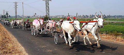 ಅಂಕಲಿ ಗ್ರಾಮದ ಸಿದ್ಧೇಶ್ವರ ಜಾತ್ರೆ ಅಂಗವಾಗಿ ಎತ್ತಿನಗಾಡಿ ಶರ್ಯತ್ತು ವಿಜೇತರಿಗೆ ಬಹುಮಾನ ವಿತರಿಸಲಾಯತು. ರಣಜಿತ ಶಿರಶೇಟ, ಜಾತೆಪ್ಪ ಕೊಂಕಣಿ, ಪಾಂಡುರಂಗ ವಡ್ಡರ ಇತರರಿದ್ದರು.