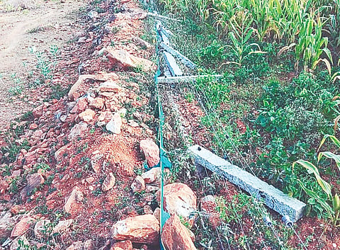  ಮಲ್ಲಯ್ಯಪುರದ ಗ್ರಾಮದ ಕೃಷ್ಣಯ್ಯ ಅವರ ಜಮೀನಿಗೆ ಲಗ್ಗೆ ಇಟ್ಟ ಕಾಡಾನೆ ಕಲ್ಲು ಕಂಬವುಳ್ಳ ಸೋಲಾರ್ ತಂತಿ ಬೇಲಿ ನಾಶಪಡಿಸಿರುವುದು. 