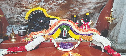 ವಡ್ಡಗಲ್ಲು ರಂಗನಾಥಸ್ವಾಮಿfestival