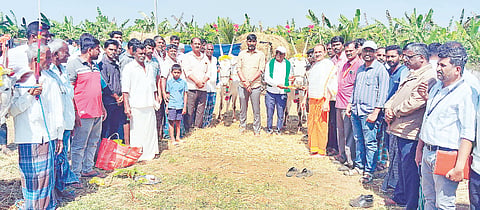  ಬೆಟ್ಟದಪುರದ ಹರದೂರು ಗೇಟ್ ಬಳಿಯ ಬಸವೇಶ್ವರ ದೇವಾಲಯದ ಆವರಣದಲ್ಲಿ ತಹಸೀಲ್ದಾರ್ ಜೆ.ನಿಸರ್ಗ ಪ್ರಿಯ ಹಾಗೂ ಗಣ್ಯರು ಜಾನುವಾರುಗಳಿಗೆ ಪೂಜೆ ಸಲ್ಲಿಸಿ, ಜಾನುವಾರು ಜಾತ್ರೆಗೆ ಚಾಲನೆ ನೀಡಿದರು. ರಾಜಶೇಖರ್, ಶಶಿಧರ್, ಸಂದೀಪ್, ಕೃಷ್ಣಪ್ರಸಾದ್, ಪ್ರಶಾಂತ್, ಮಹೇಶ್, ನಿರಂಜನ್, ಗುರುನಾಯಕ್ ಇತರರಿದ್ದರು.
