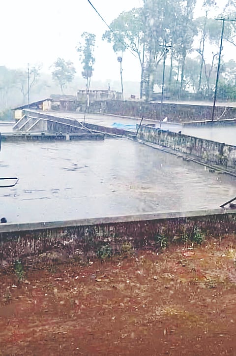 ಪಾಲಿಬೆಟ್ಟ ಭಾಗದಲ್ಲಿ ಸುರಿದ ಮಳೆ