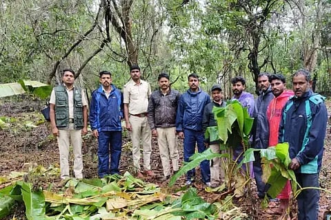 ಯಡೇಹಳ್ಳಿಯಲ್ಲಿ ಅರಣ್ಯ ಜಾಗ ಒತ್ತುವರಿಯನ್ನು ಇಲಾಖೆಯ ಅಧಿಕಾರಿಗಳು, ಸಿಬ್ಬಂದಿ ತೆರವುಗೊಳಿಸಿದರು.