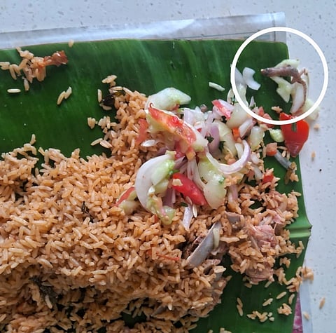 Lizard found in biryani!