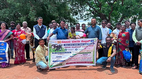 ಮಾಗಡಿಯಲ್ಲಿ ರೋಟರಿ ಮಾಗಡಿ ಸೆಂಟ್ರಲ್ ವತಿಯಿಂದ ಹಮ್ಮಿDistributionಕೊಂಡಿದ್ದ ಬಡ ಮಹಿಳೆಯರಿಗೆ ಹಸುಗಳನ್ನು  ಮಾಗಡಿ ಸೆಂಟ್ರಲ್ ಅಧ್ಯಕ್ಷ ಎಚ್.ಎಸ್. ಜಯಶಂಕರ್ ವಿತರಿಸಿದರು. ಮಾಜಿ ಅಧ್ಯಕ್ಷ ಡಾ. ಮಂಜುನಾಥ ಬೆಟಗೇರಿ, ರೋಟರಿಯನ್ ಎ.ಎಸ್.ಶ್ರೀಕಾಂತ್, ಮಾಗಡಿ ಸೆಂಟ್ರಲ್‌ನ ಯೋಜನಾ ಮುಖ್ಯಸ್ಥ ಎಲ್.ಪ್ರಭಾಕರ್ ಇತರರು ಇದ್ದರು.