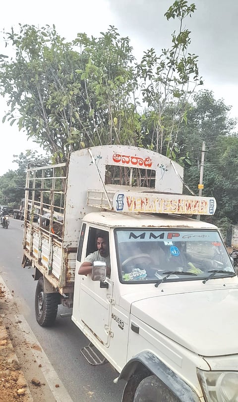 ಯಾದಗಿರಿ -ಹೈದರಾಬಾದ್ ರಸ್ತೆಯ ಚಿರಂಜೀವಿ ಶಾಲೆಯ ಮುಖ್ಯ ರಸ್ತೆಯ ಡಿವೈಡರ್‌ನಲ್ಲಿ ಸಸಿ ನೆಡುವುದಕ್ಕಾಗಿ ಗುಂಡಿ ತೊಡಿರುವುದು.