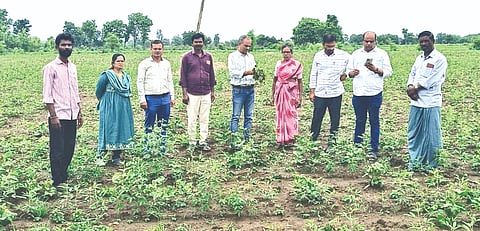 ಚಿಂಚೋಳಿ ತಾಲೂಕಿನ ಗಾರಂಪಳ್ಳಿ ಗ್ರಾಮಕ್ಕೆ ಕೃಷಿ ವಿಶ್ವವಿದ್ಯಾಲಯದ ತಜ್ಞರು ಭೇಟಿ ನೀಡಿ ಕಸ್ಕೋಟಾ ಕುರಿತು ಪರಿಶೀಲನೆ ನಡೆಸಿದರು. ಡಾ.ಆನಂದರಾವ್​ ಪೊಲೀಸ್​ ಪಾಟೀಲ್​, ಗೋಪಾಲ, ಅಭಿಲಾಷ ಸುಬೇದಾರ, ಸುಮಾ ಪಾಟೀಲ್​, ಸರೋಜಾ ಇತರರಿದ್ದರು.