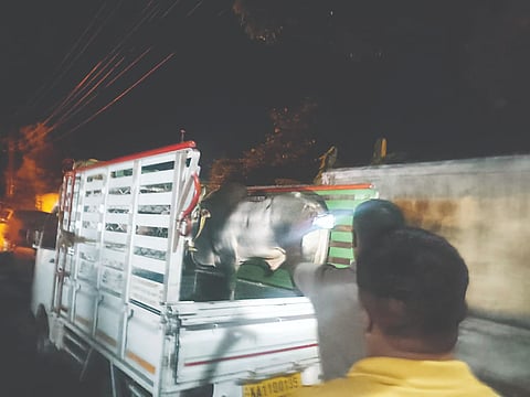 ಕಸಾಯಿ ಖಾನೆಗೆ ಗೋ ಸಾಗಣೆ ಮಾಡುತ್ತಿದ್ದ ಗೋವು ಹಾಗೂ ಟೆಂಪೋವನ್ನು ಹಿಂದೂ ಪರ ಸಂಘಟನೆ ಕಾರ್ಯಕರ್ತರು ಹಿಡಿದು ಪೊಲೀಸರ ವಶಕ್ಕೆ ಒಪ್ಪಿಸಿದರು.