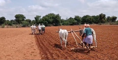 ತುಮಕೂರು ಜಿಲ್ಲೆಯಲ್ಲಿ ಬಿತ್ತನೆಯಲ್ಲಿ ತೊಡಗಿರುವ ರೈತರು