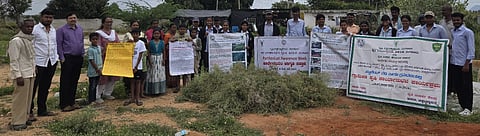 Scientific measures are necessary to control Parthenium.