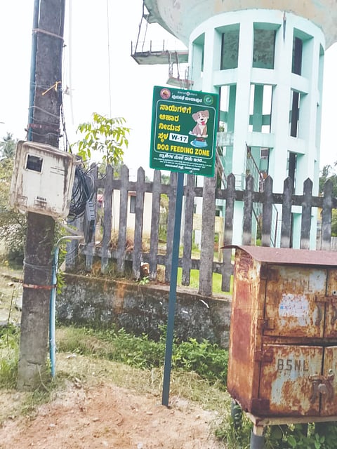  ಬೀದಿನಾಯಿಗಳಿಗೆ ಆಹಾರ ನೀಡುವ ವಲಯಗಳನ್ನು ಗುರುತಿಸಿ ಬೋರ್ಡ್ ಅಳವಡಿಸಿರುವುದು.