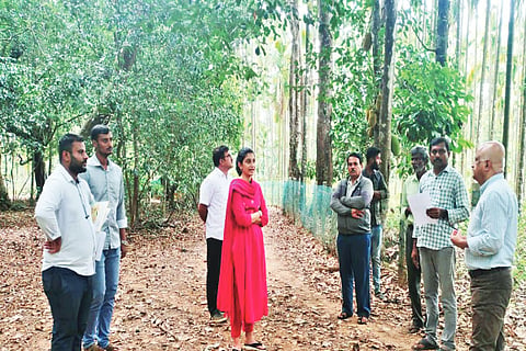 ಕೊಪ್ಪದ ಭಂಡಿಗಡಿಯ ಈಚಲಬೈಲು ಗ್ರಾಮದಲ್ಲಿ ಲೋಕಾಯುಕ್ತ ಅಧಿಕಾರಿಗಳು ಸರ್ವೇ ನಡೆಸಿದರು. ಲೋಕಯುಕ್ತಾ ಇಂಜಿನಿಯರ್ ಪಾಂಡುರಂಗ ಕುಲಕ್ಕರ್ಣಿ, ತಹಸೀಲ್ದಾರ್ ಲಿಖಿತ ಮೋಹನ್ ಇದ್ದರು.