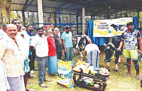 ಹಿರೀಸಾವೆ ಹೋಬಳಿಯ ಜಿನ್ನೇನಹಳ್ಳಿ ಗ್ರಾಮದಲ್ಲಿ ಇತ್ತೀಚೆಗೆ ಶ್ರೀ ಕಾಲಭೈರವೇಶ್ವರ ಹಾಗೂ ಗೋದ್ರೆಜ್ ಆಗ್ರೋವೆಟ್ ವತಿಯಿಂದ ಗರ್ಭಿಣಿ ಗೋಮಾತೆಗೆ ಸೀಮಂತ ಕಾರ್ಯ ಮಾಡಲಾಯಿತು. ಜೆ.ಎಸ್.ಕಾರ್ತಿಕ್, ಜೆ.ಎಸ್.ಆಕರ್ಷ, ಸುನಿಲ್.ಬಿ.ವಿ, ಎನ್.ಶ್ರೀಕಂಠ, ಡಾ.ಕವಿತಾ, ಪ್ರಮುಖರಾದ ಸುದೀಪ್, ಪ್ರಶಾಂತ್, ಕೇಶವಣ್ಣ, ಮಂಜುನಾಥ್ ಇತರರು ಇದ್ದರು.